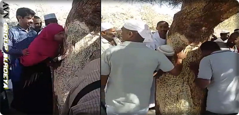 السلطات السعودية تزيل شجرة &quot;النبوة&quot; في ميسان